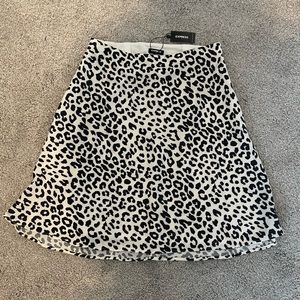 Express Skirt